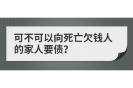 德州为什么选择专业追讨公司来处理您的债务纠纷？